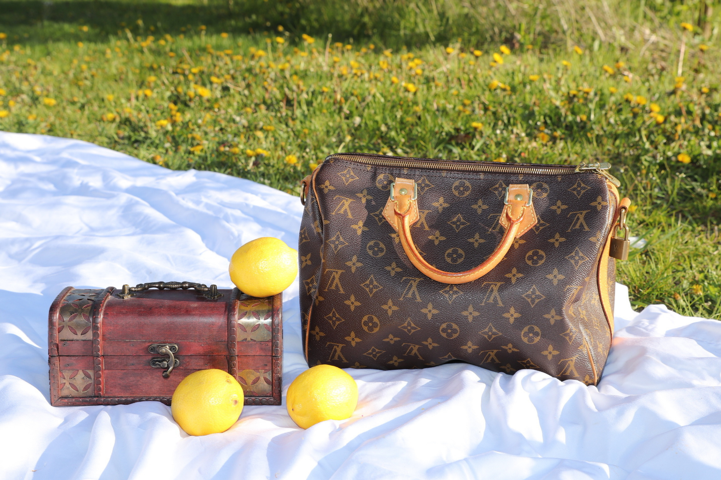 Everything You Need to Know About Used Louis Vuitton Bag