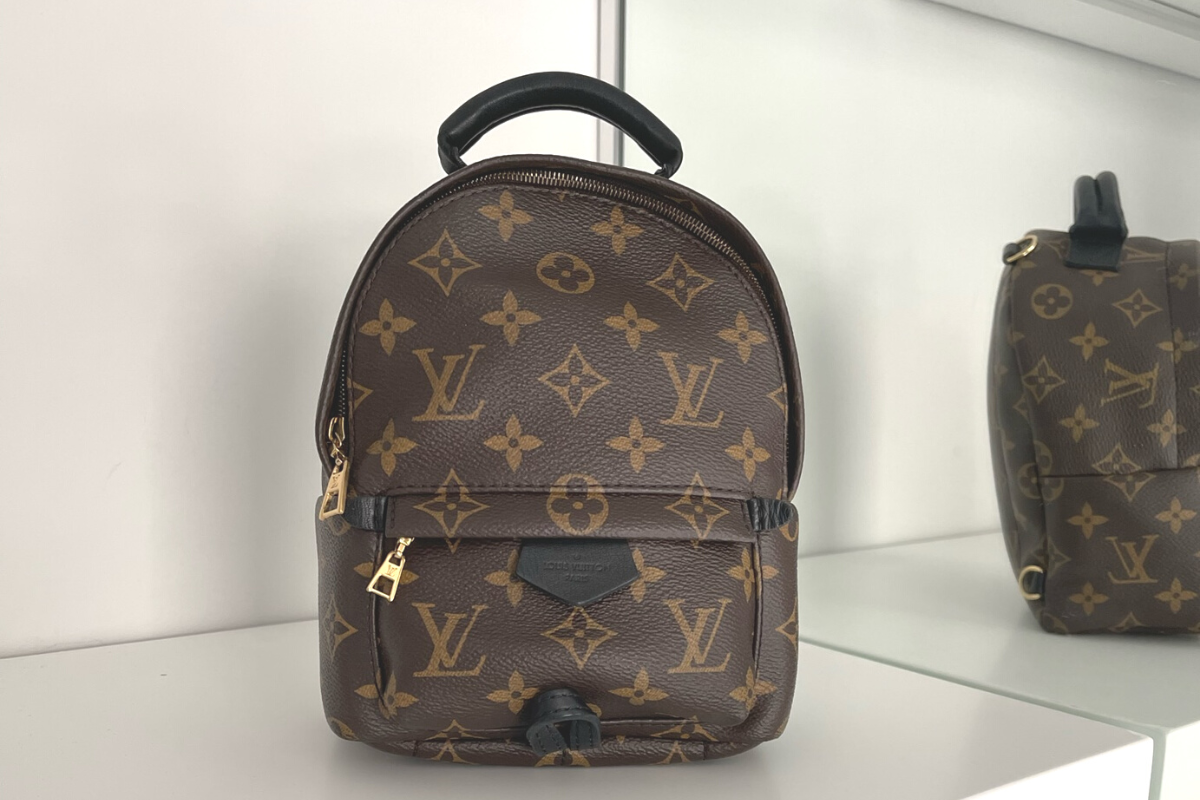 6 REASONS YOU SHOULD NOT BUY THE LOUIS VUITTON PALM SPRINGS BACKPACK MINI