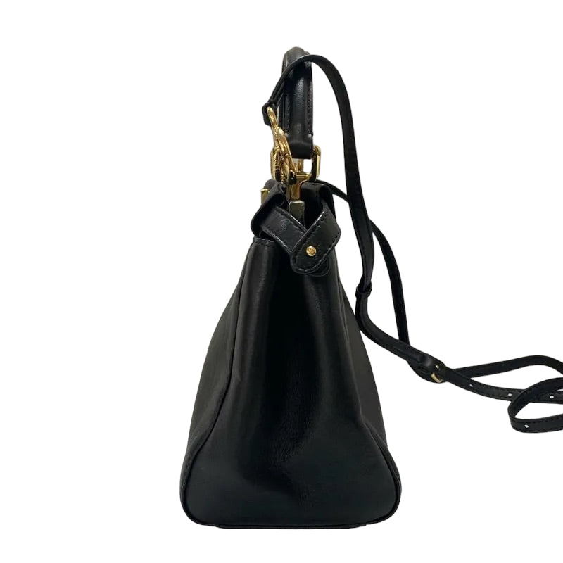 Glazed Lambskin Bucket Bag