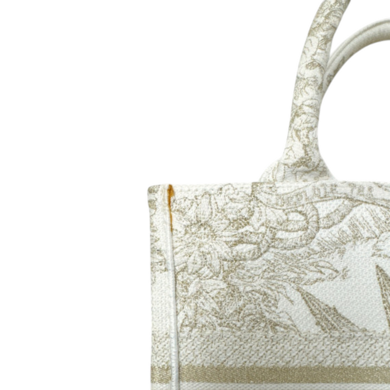 Reve d'Infini Book Tote Small Canvas White Gold