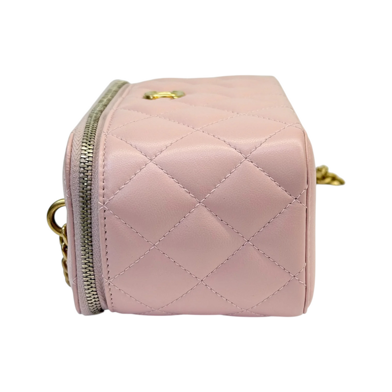 Vanity Case With Chain Sweet Camellia Small Lambskin Pink GHW