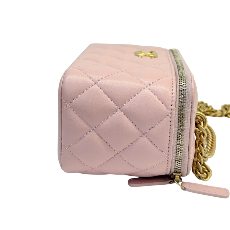 Vanity Case With Chain Sweet Camellia Small Lambskin Pink GHW