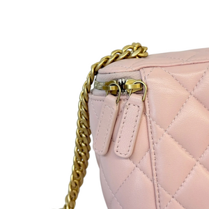 Vanity Case With Chain Sweet Camellia Small Lambskin Pink GHW