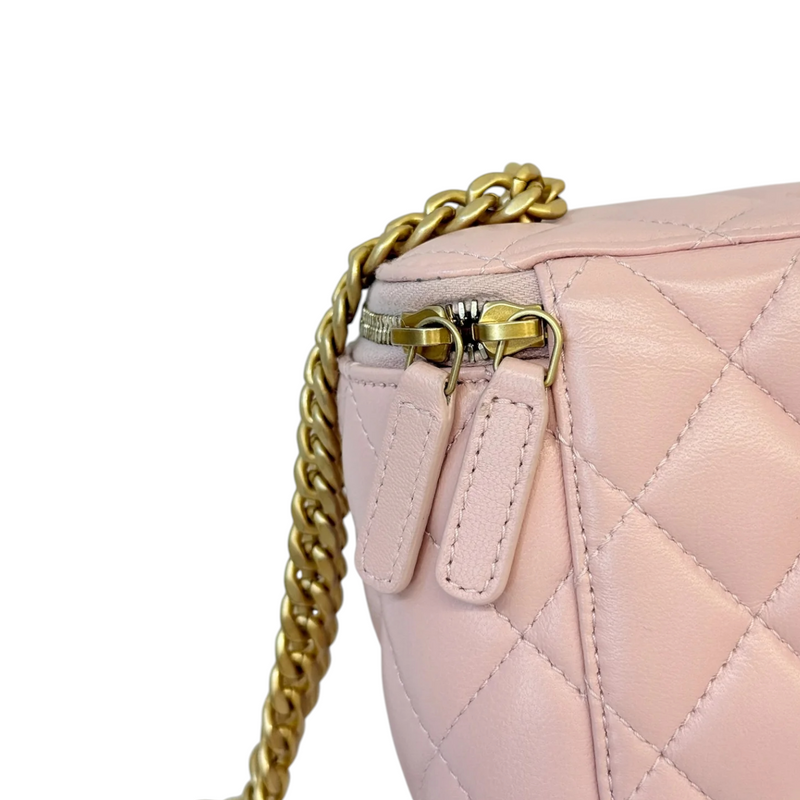 Vanity Case With Chain Sweet Camellia Small Lambskin Pink GHW