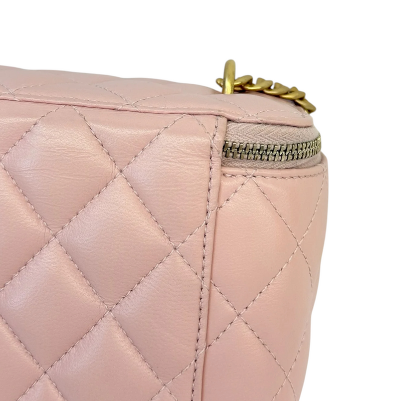Vanity Case With Chain Sweet Camellia Small Lambskin Pink GHW