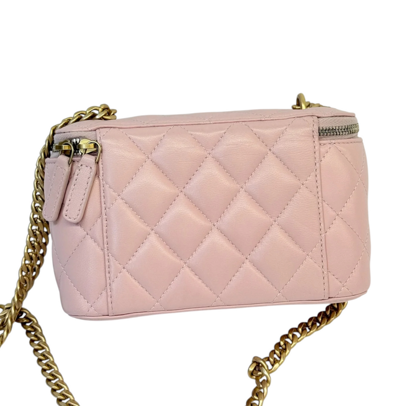 Vanity Case With Chain Sweet Camellia Small Lambskin Pink GHW