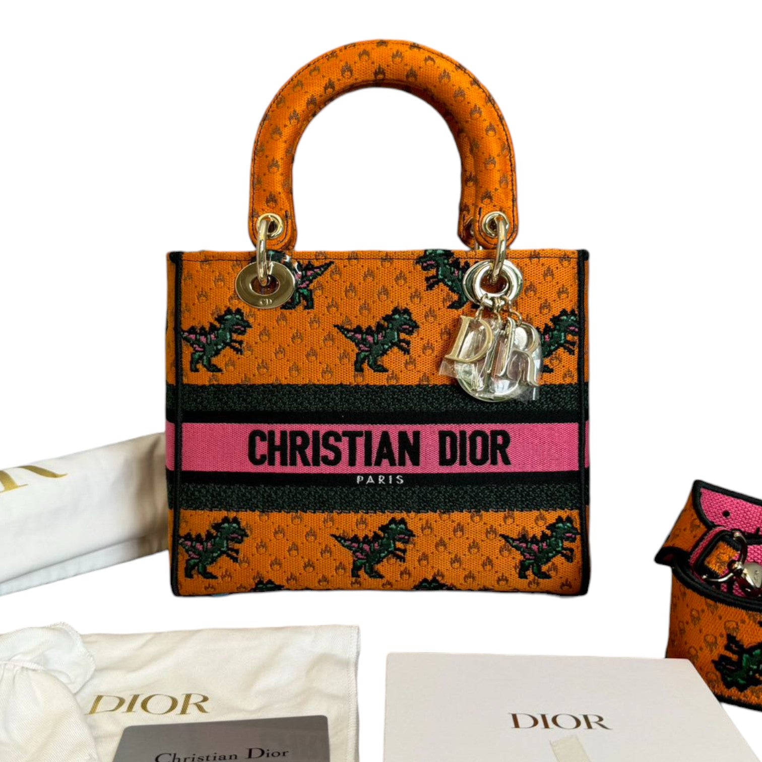 Christian Dior Lady D-Lite Medium Canvas Embroidered Dino Orange
