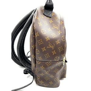 Monogram Palm Springs Backpack MM