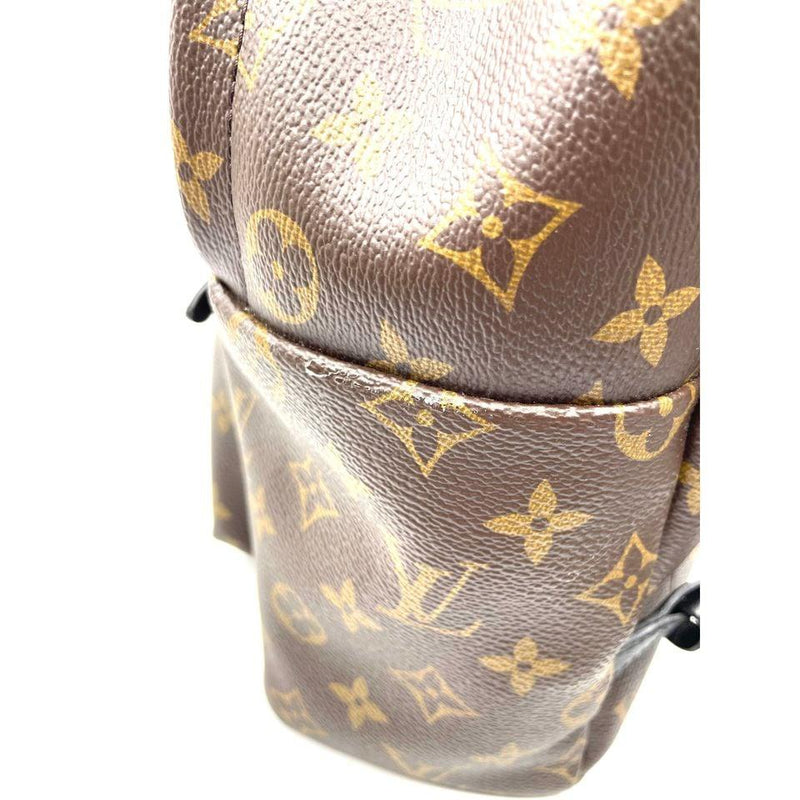 Louis Vuitton Palm Springs Monogram (Updated Zipper) MM in Coated