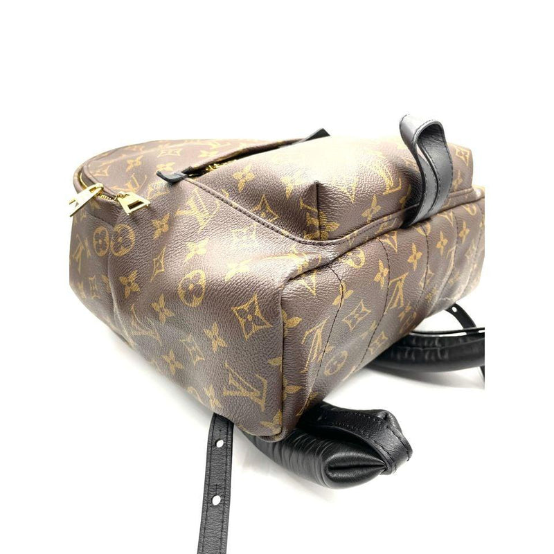 Monogram Palm Springs Backpack MM