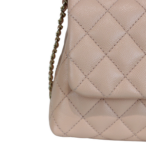 Pink Coco Handle Small Caviar LGHW