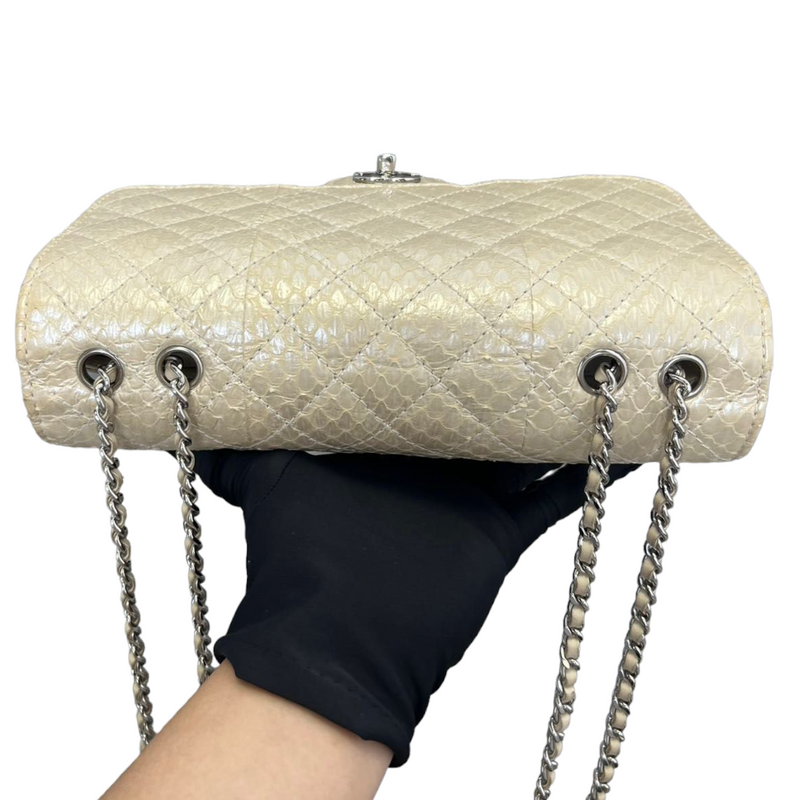 Chanel Iridescent Python Snake Mini Crossbody Bag