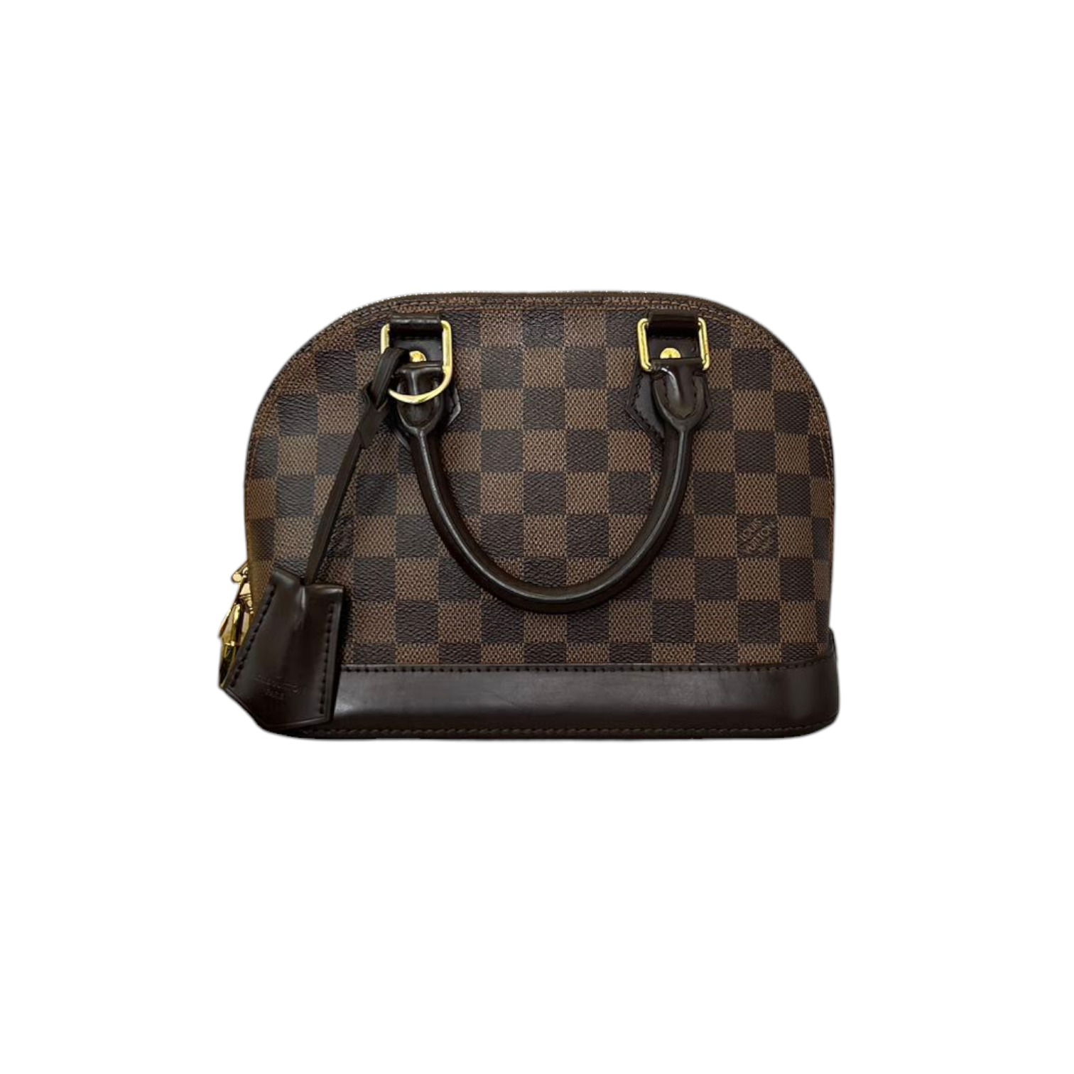 Speedy 25 with twilly and charm  Scarf on bag, Louis vuitton handbags,  Louis vuitton