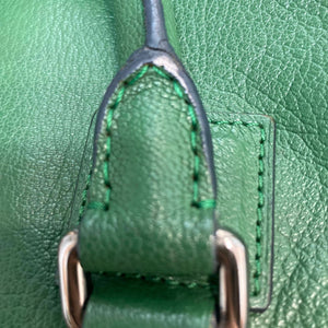 Amazona 28 Calfskin Leather Green SHW