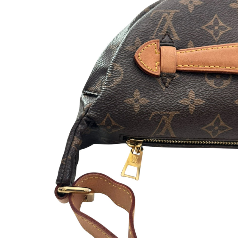 Bumbag Monogram Canvas Brown GHW