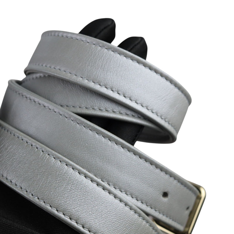 Lady Dior Medium Lambskin Cannage Silver GHW