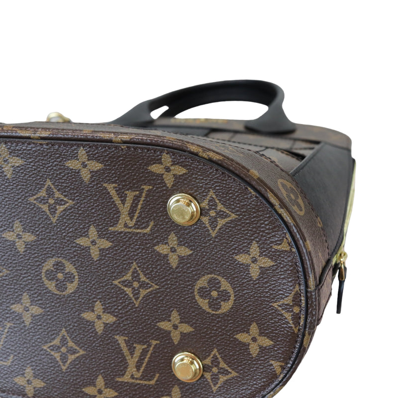 Louis Vuitton Limited Edition Tressage Reverse Monogram Tote Bag Brown Bag