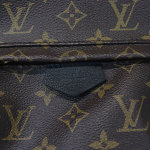 Monogram Palm Springs PM Backpack