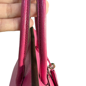 Birkin 25 Fuschia Chevre PHW