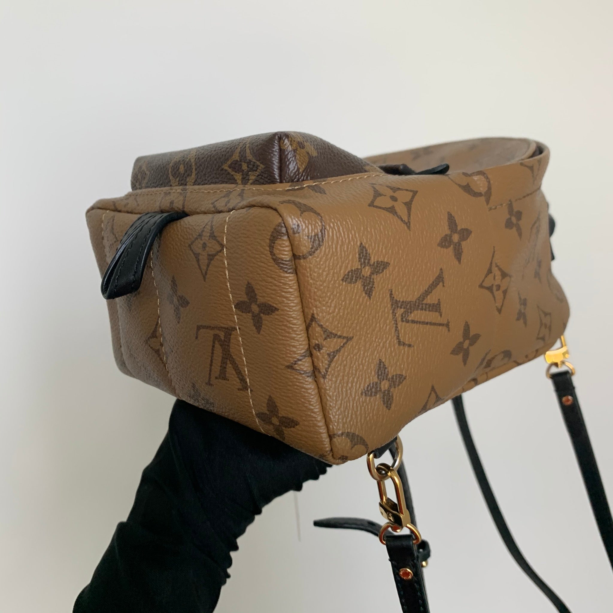 LOUIS VUITTON Palm Springs Monogram Mini Canvas Backpack  Bag Religion