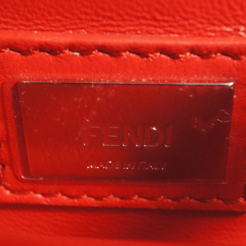 Mini Embroidered Peekaboo Satchel