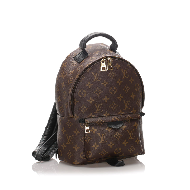 Monogram Palm Springs PM Backpack