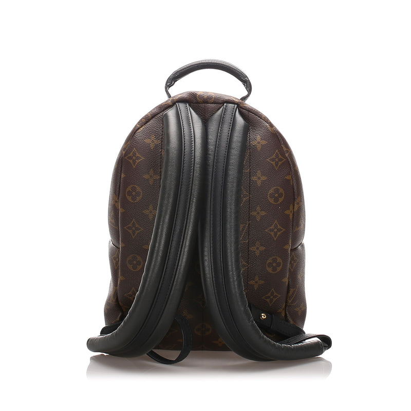 Louis Vuitton, Bags, Louis Vuitton Palm Spring Monogram Pm
