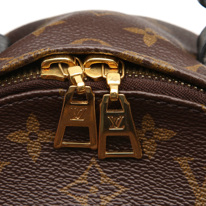 Monogram Palm Springs PM Backpack