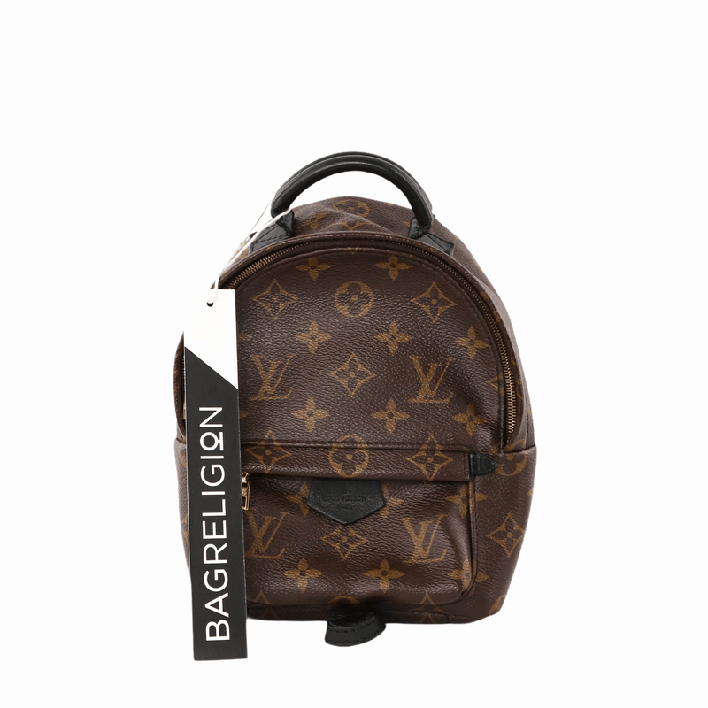 Louis vuitton 2025 backpack mini cheap