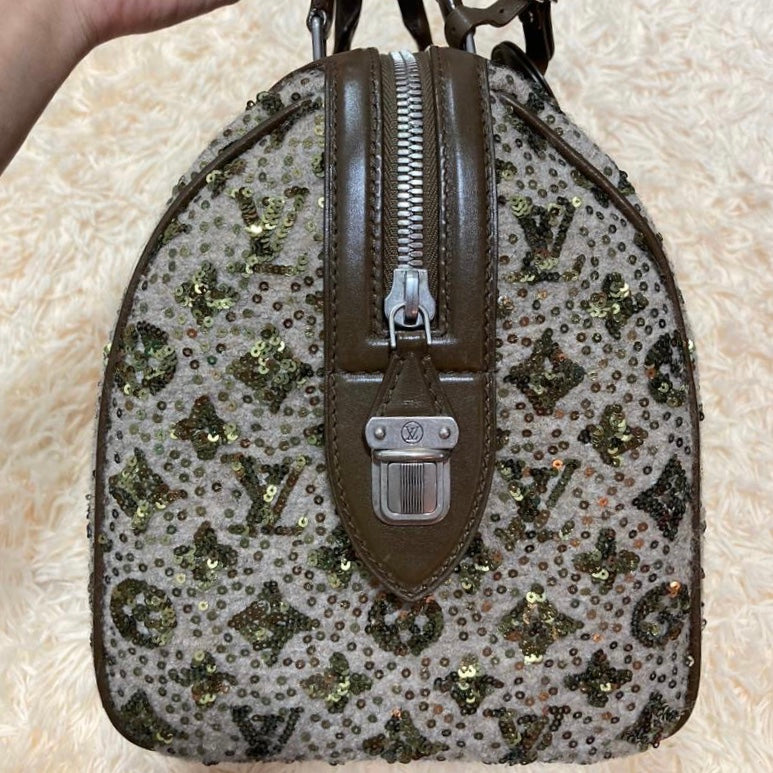 louis vuitton speedy sequin