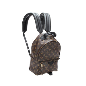 Monogram Palm Springs PM Brown - Bag Religion