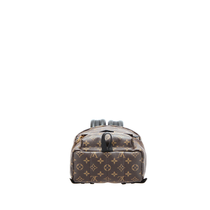 Monogram Palm Springs PM Brown - Bag Religion