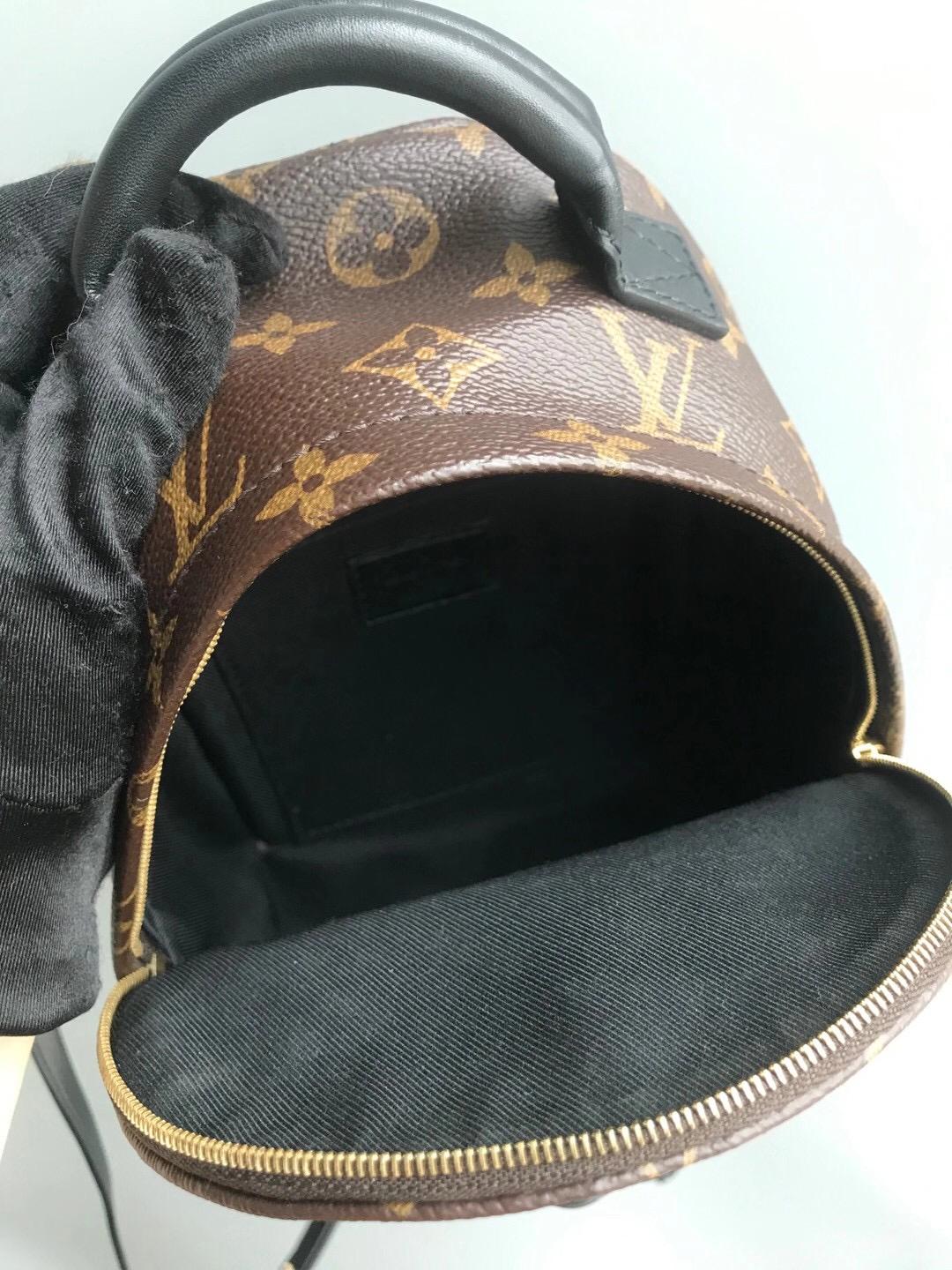 LOUIS VUITTON Palm Springs Monogram Mini Canvas Backpack Bag Religion
