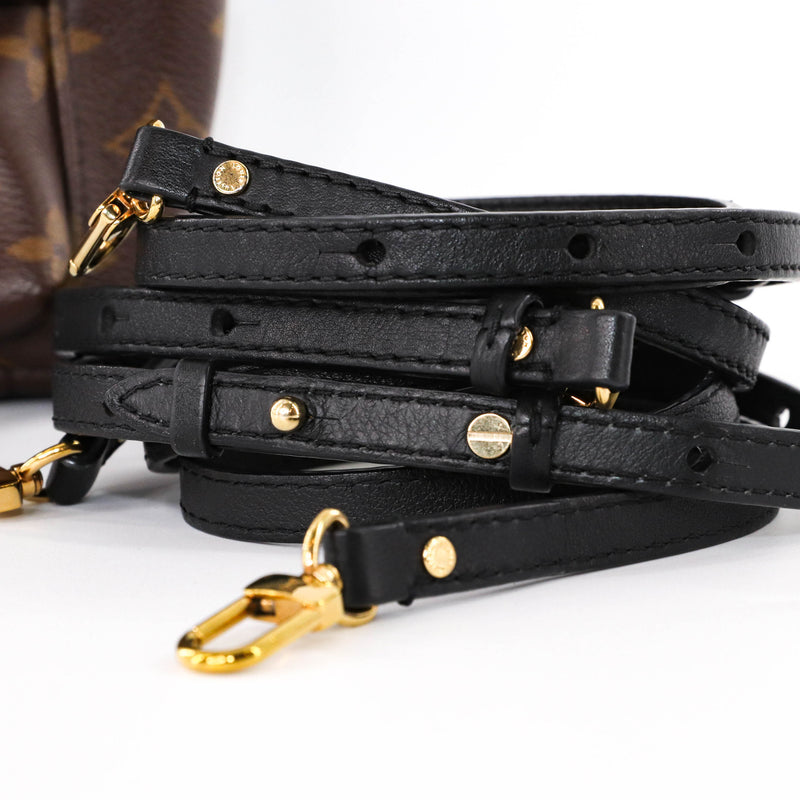 louis vuitton palm springs mini backpack straps