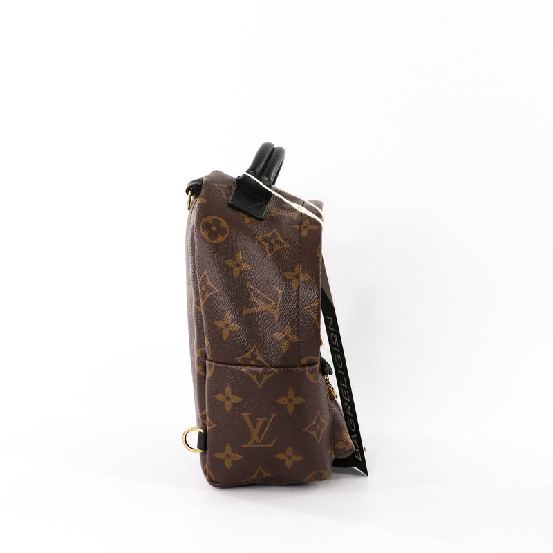 Louis Vuitton Monogram Canvas Palm Springs Mini Backpack