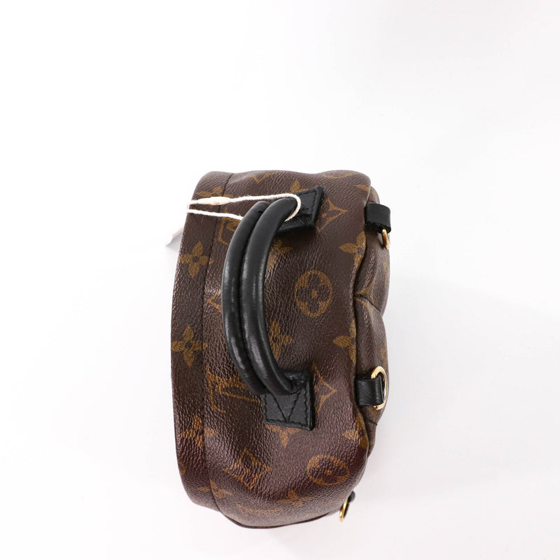 Brown Louis Vuitton Monogram Palm Springs Mini Backpack – Designer Revival