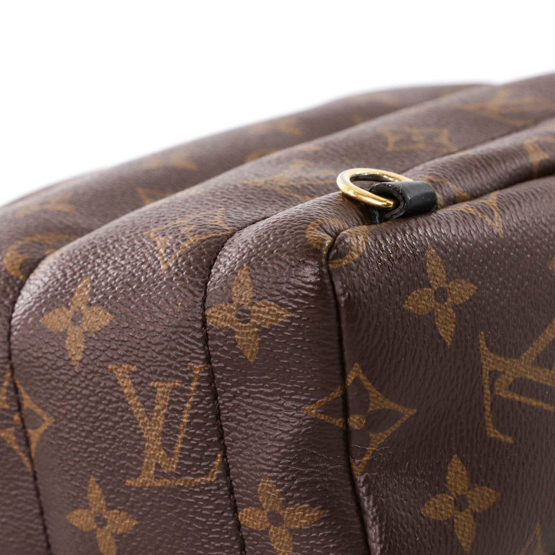 LOUIS VUITTON MONOGRAM PALM SPRINGS MINI BACKPACK – Caroline's Fashion  Luxuries