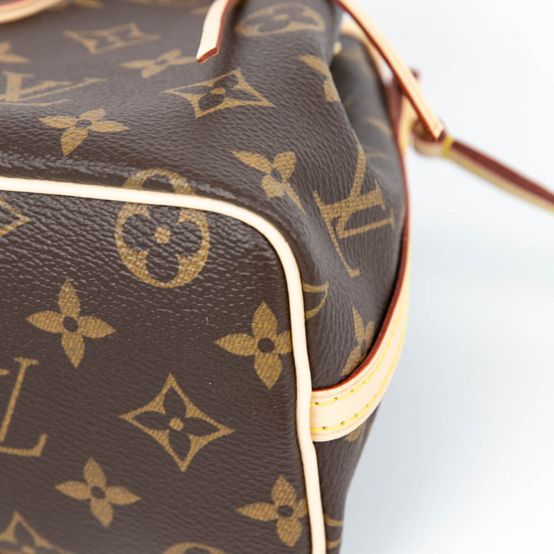 Nano Monogram Noe Bag