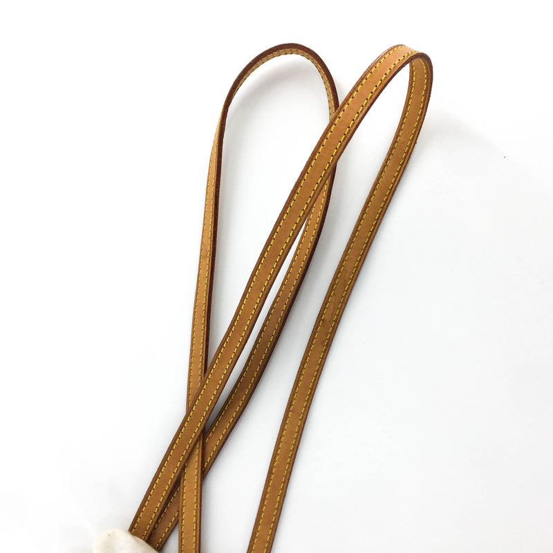 Twin Pochette PM Monogram Crossbody Bag