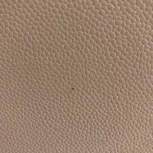 GST in Beige Caviar Leather with GHW