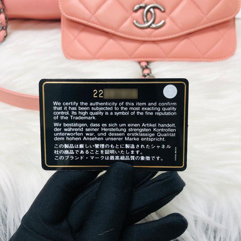 Pink Caviar and Quilted Lambskin Leather Coco Break Camera Bag