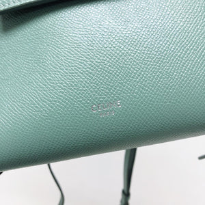 Nano Belt Bag in Mint Green