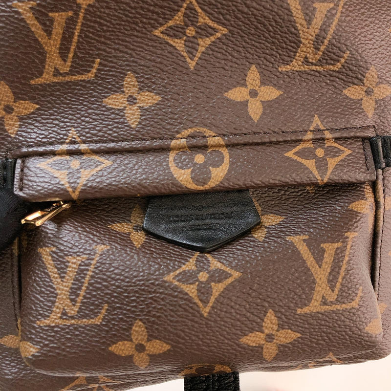 Louis Vuitton Palm Springs Monogram Mini Brown - US