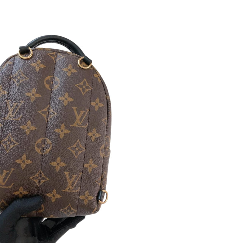 Palm Springs Monogram Mini Backpack