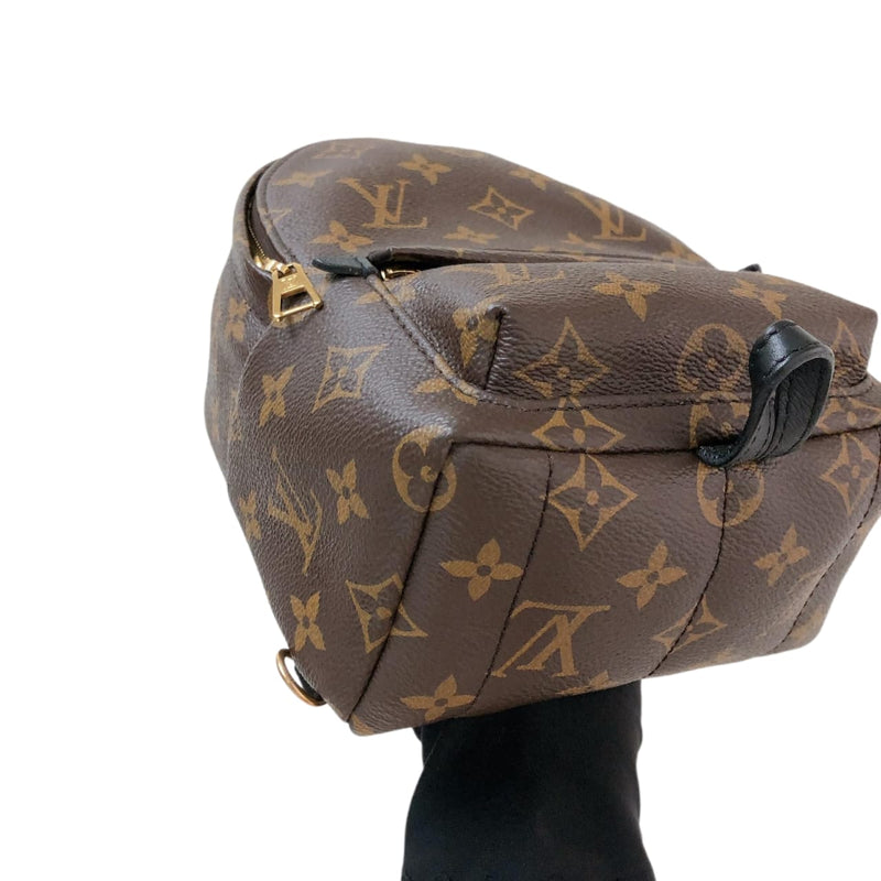 Palm Springs Monogram Mini Backpack