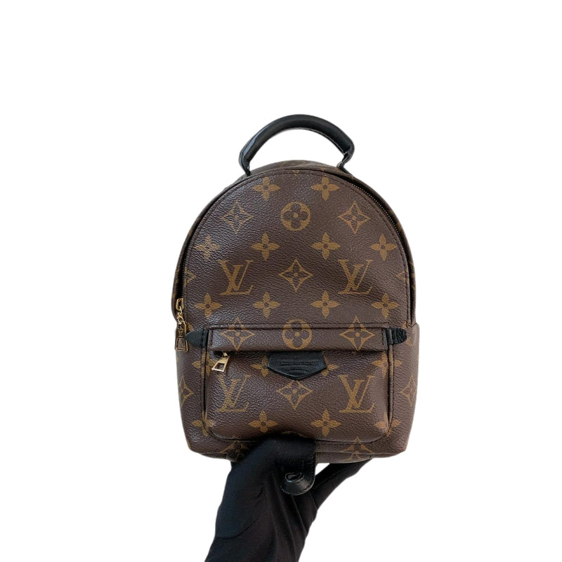 Bag Organizer Palm Springs Mini Backpack 2020 luxury bag designer