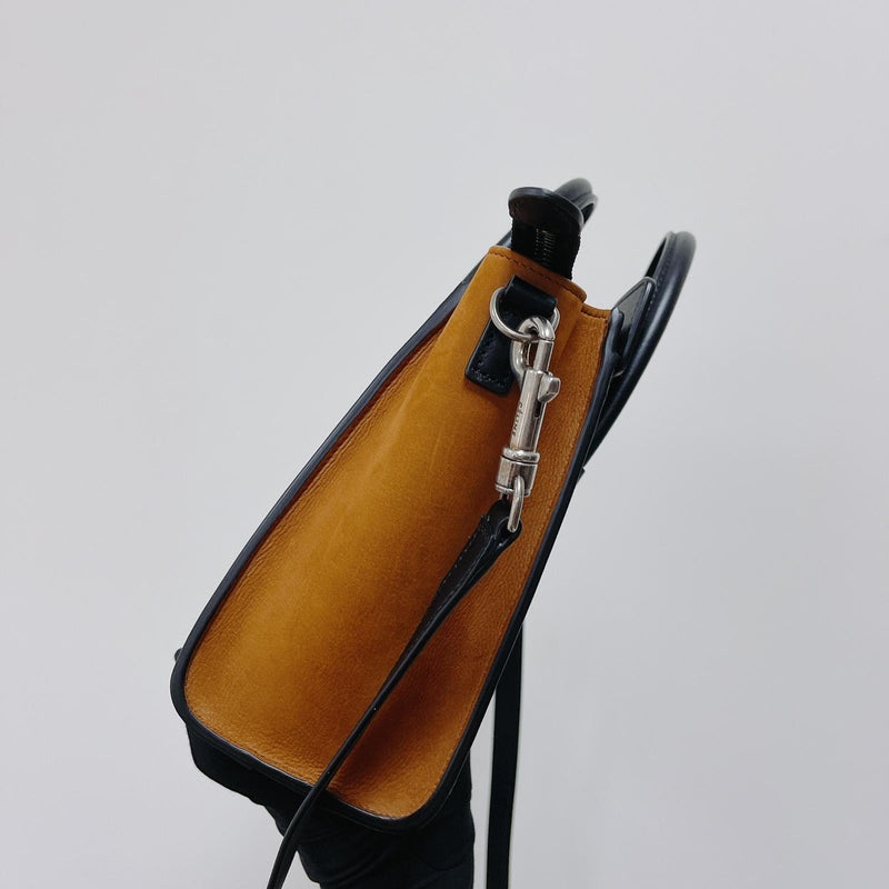 Nano Tri-Color Luggage Tote
