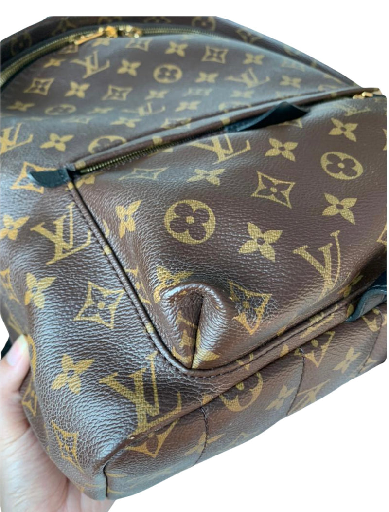 Louis Vuitton Monogram Palm Springs MM Backpack