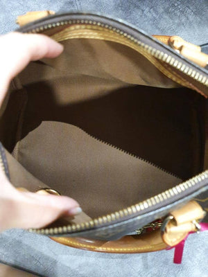 Vuitton Speedy 25 Monogram Canvas Handbag