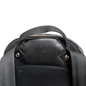 Michael Backpack Damier Graphite SHW